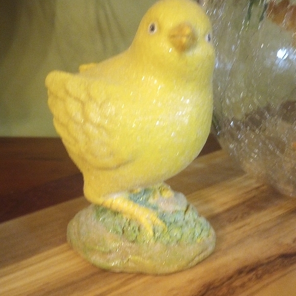 Baby Chicks - Picture 4 of 7